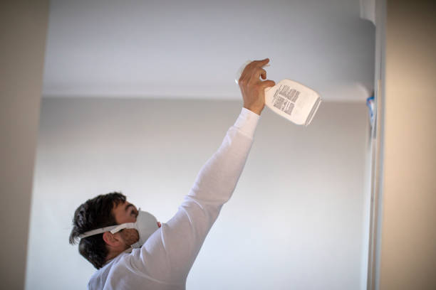 Best Certified Mold Removal  in Humble, TX