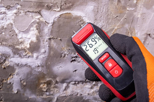 Best Mold Testing  in Humble, TX