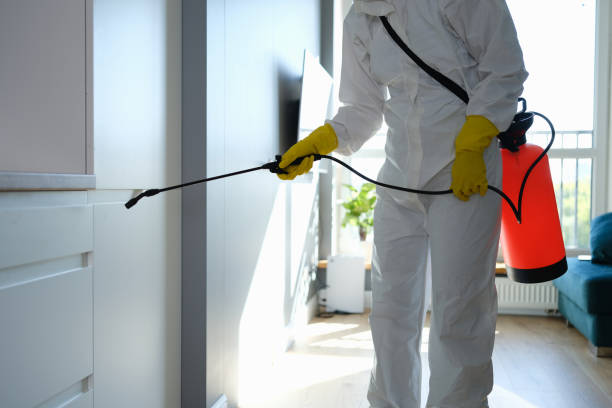 Best Mold Testing  in Humble, TX