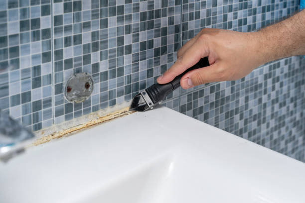 Mold Removal Process in Humble, TX