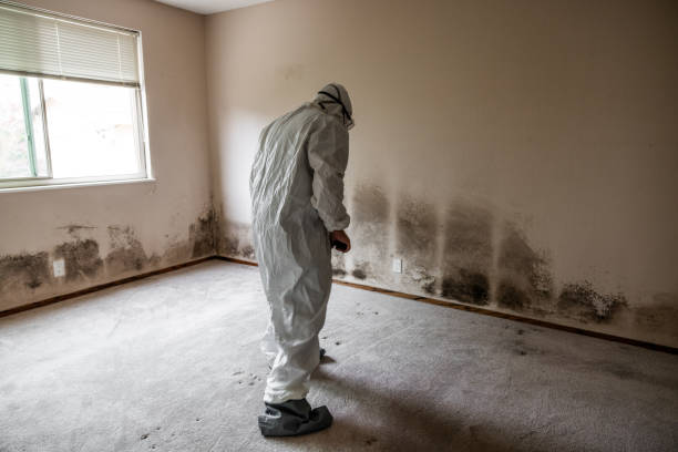 Best Mold Testing  in Humble, TX