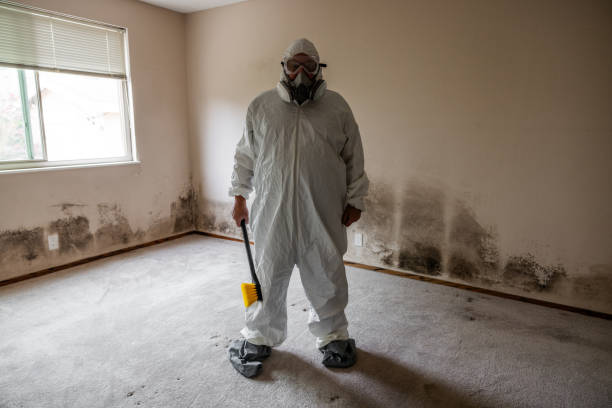 Best Toxic Mold Removal  in Humble, TX